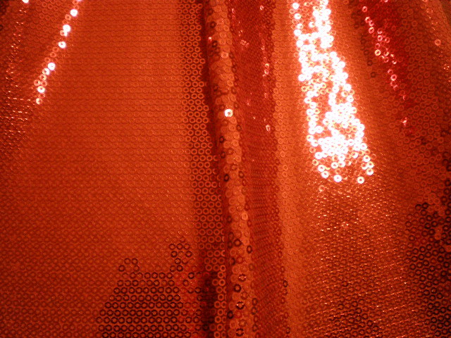 3.Red Stage Line Sequins